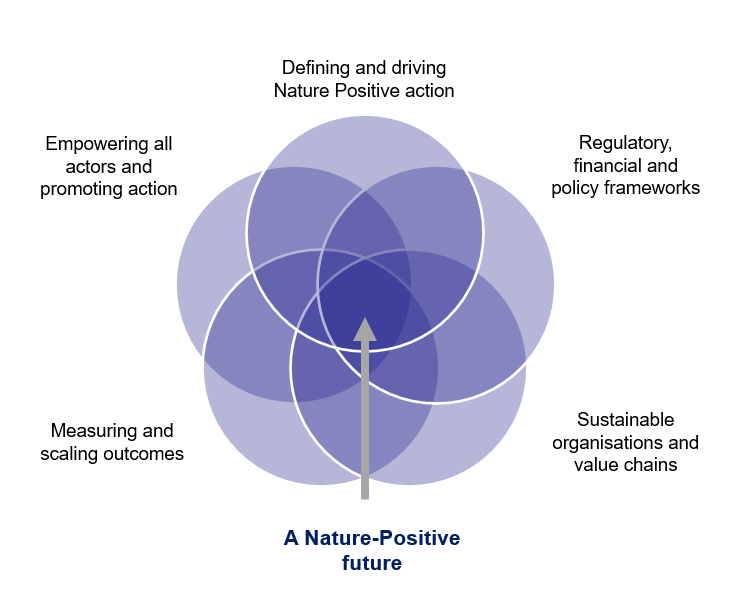 Our research | The Oxford Nature Positive Hub